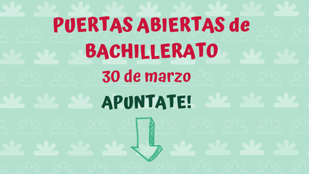 bachi